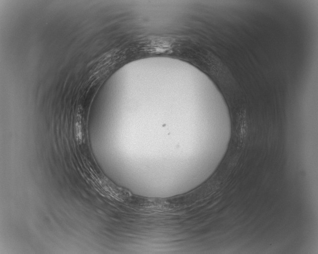 X0000085051442200703261125