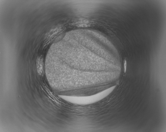 X0000085051444200703261125
