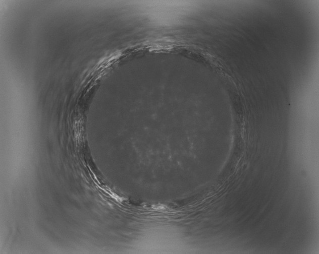 X0000085051445200703261125