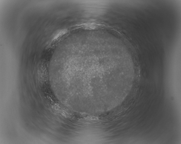 X0000085051446200703261125