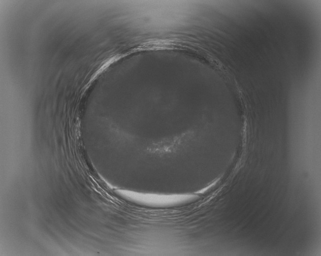 X0000085051449200703261125