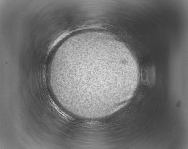 X0000085051452200703261125