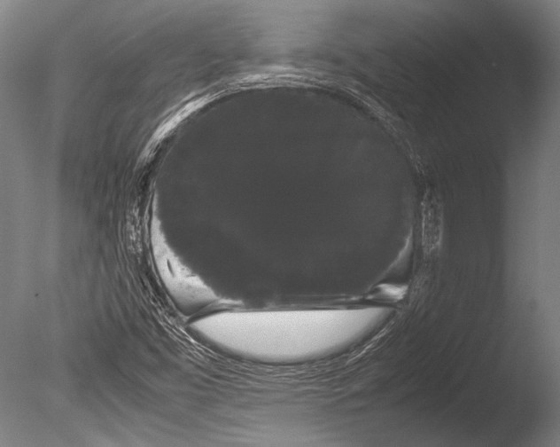 X0000085051453200703261125