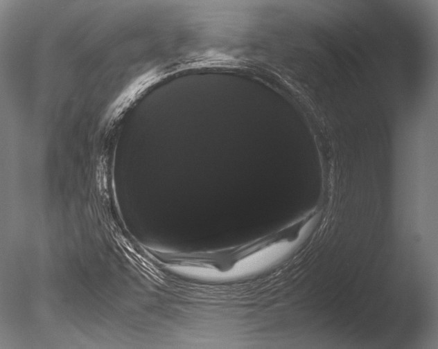 X0000085051455200703261124