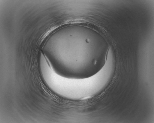 X0000085051457200703261124