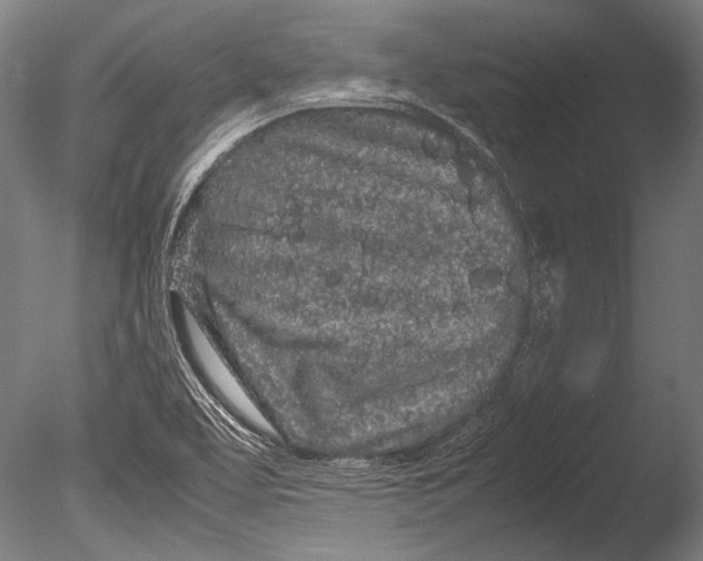 X0000085051463200703261124