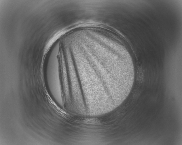 X0000085051464200703261124