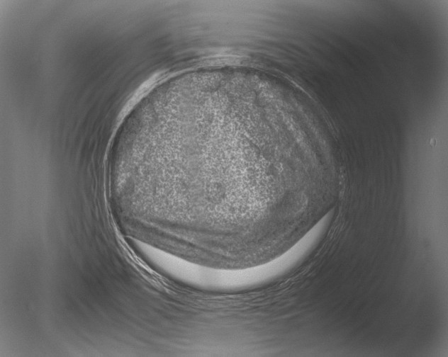 X0000085051467200703261124