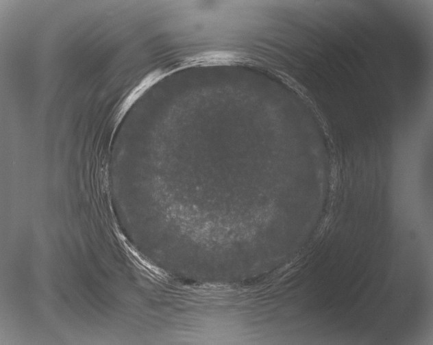 X0000085051473200703261124