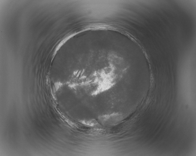 X0000085051481200703261124