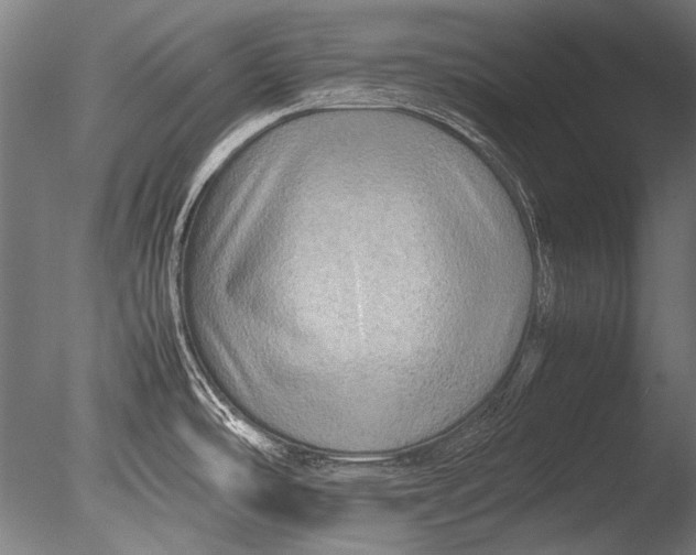 X0000085051486200703261124