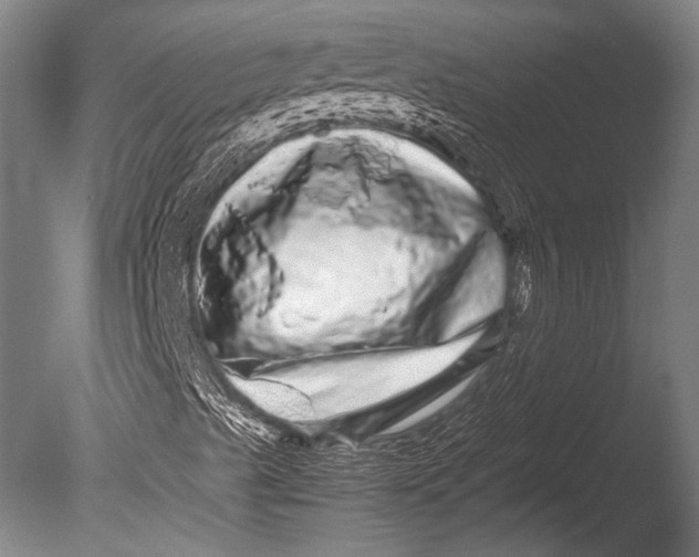 X0000085051489200703261123