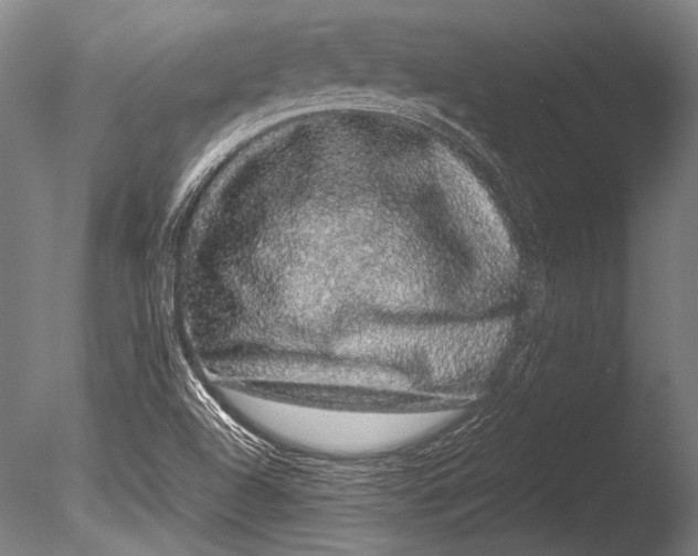 X0000085051504200703261123