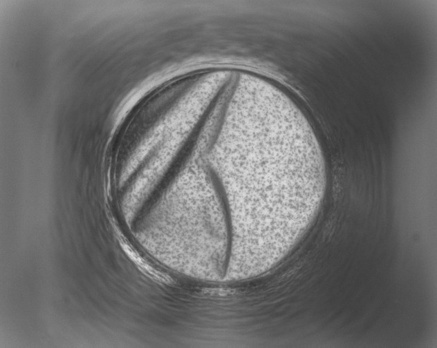 X0000085051511200703261123