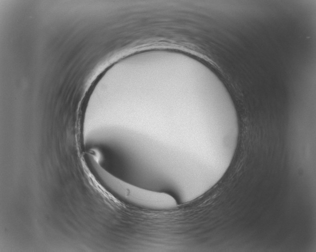 X0000085051518200703261124