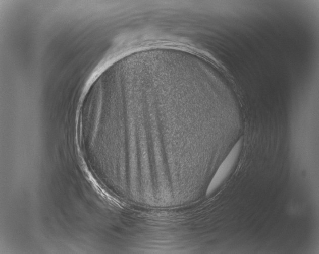 X0000085051520200703261124