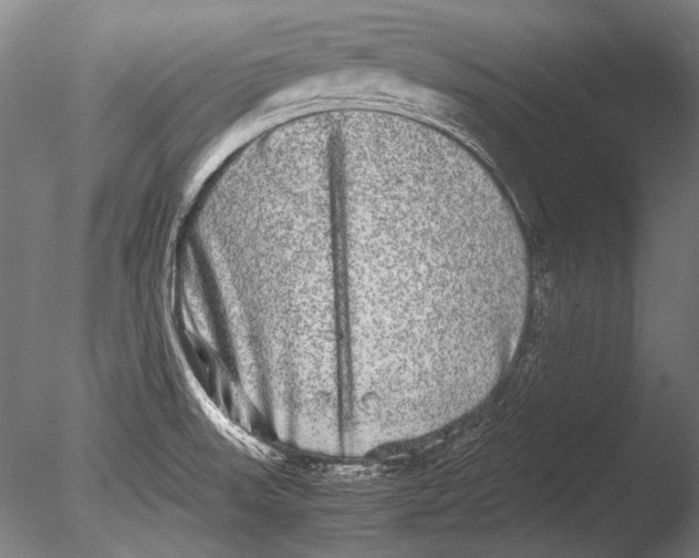 X0000085051523200703261124