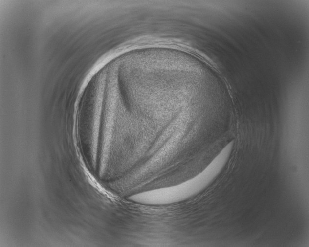 X0000085051528200703261124