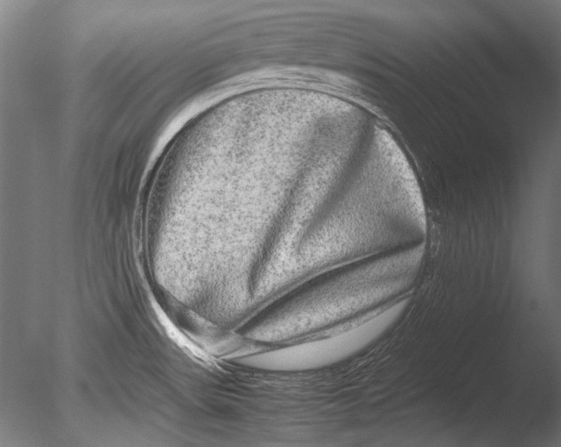X0000085051531200703261124