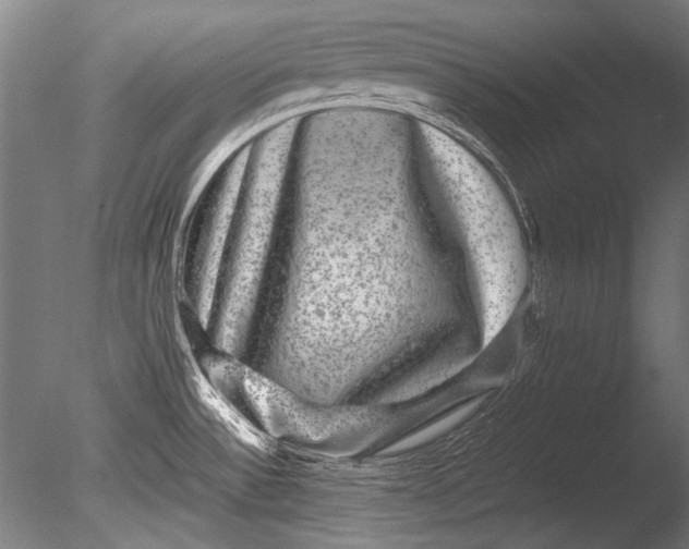 X0000085051532200703261124