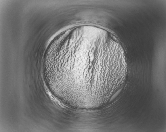 X0000085051534200703261124