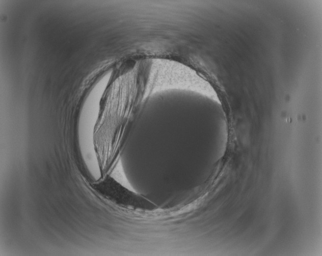 X0000085050019200704021331