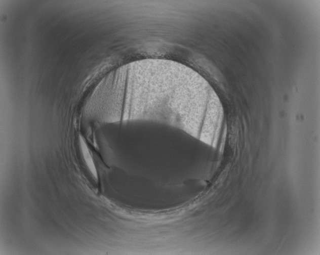 X0000085050023200704021331