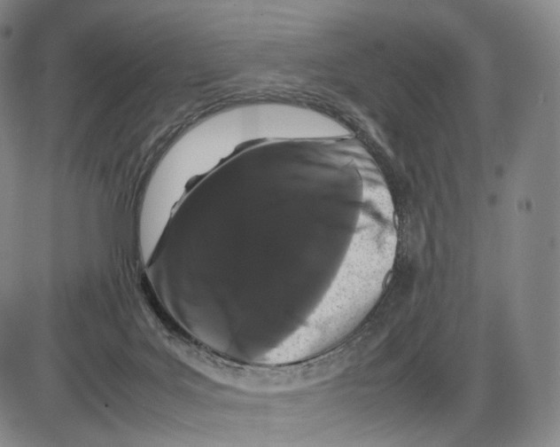 X0000085050027200704021331