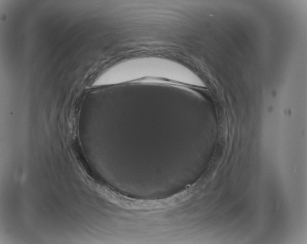 X0000085050031200704021331