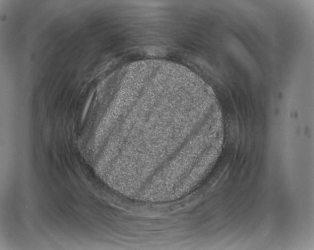 X0000085050032200704021331