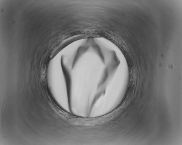 X0000085050033200704021331