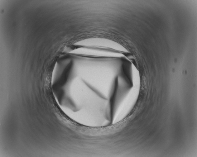 X0000085050037200704021331