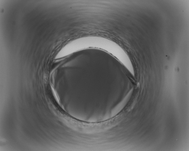 X0000085050039200704021331