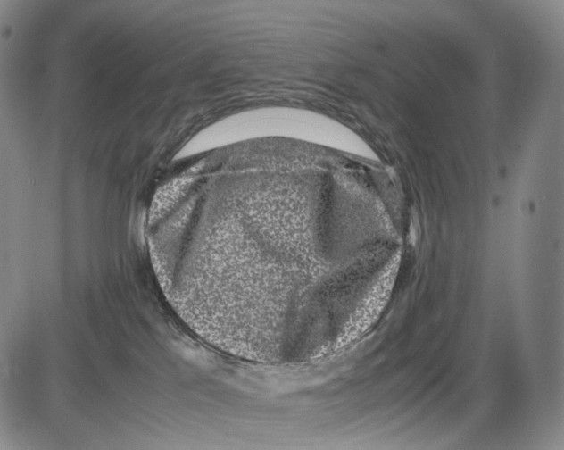 X0000085050041200704021330