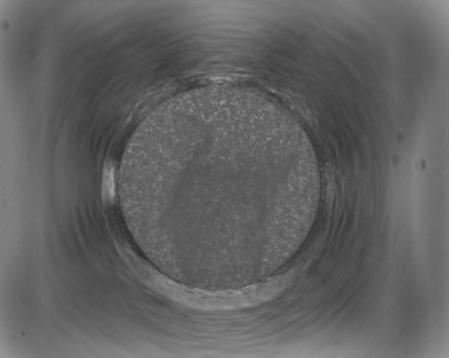 X0000085050042200704021330