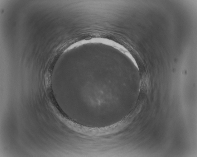 X0000085050043200704021330