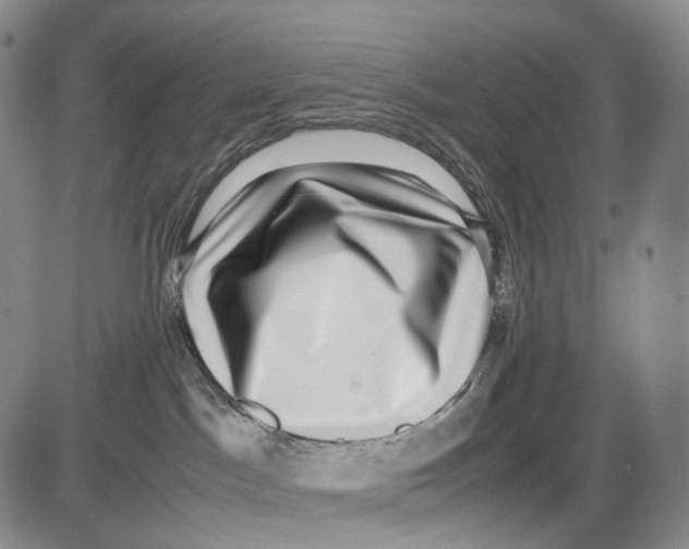 X0000085050045200704021330