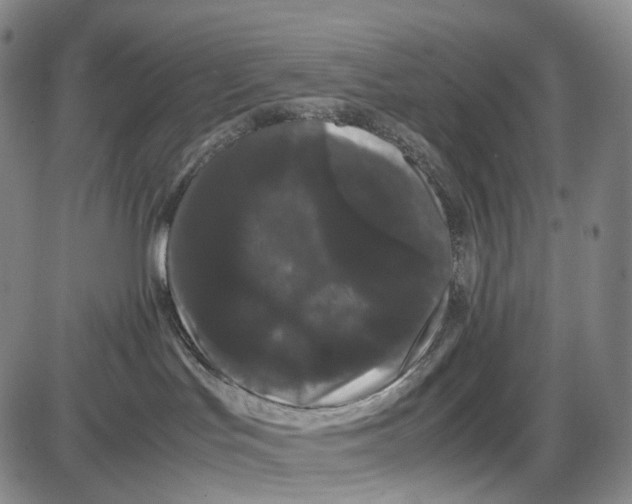 X0000085050047200704021330