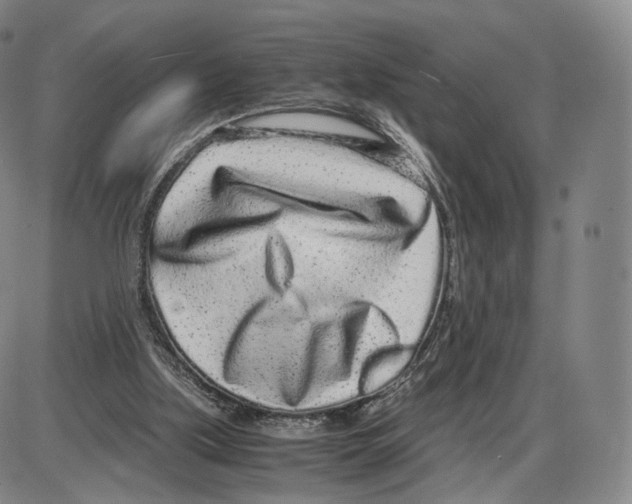 X0000085050059200704021330