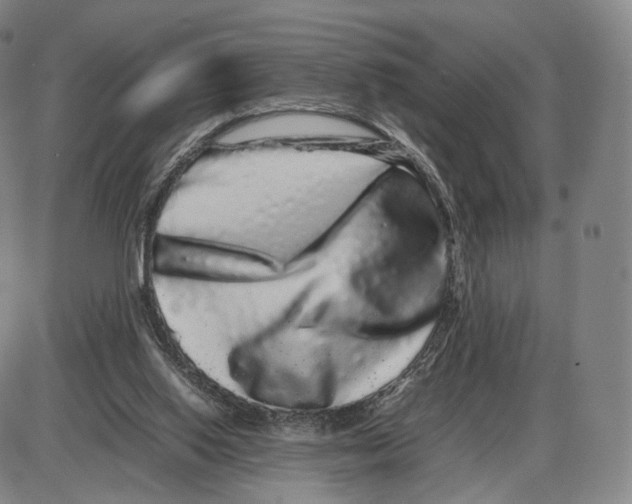 X0000085050062200704021330