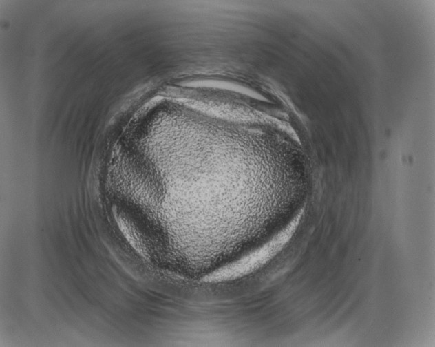 X0000085050068200704021330
