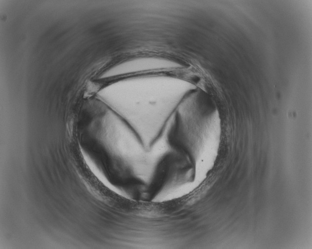 X0000085050070200704021330