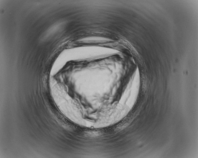 X0000085050071200704021330