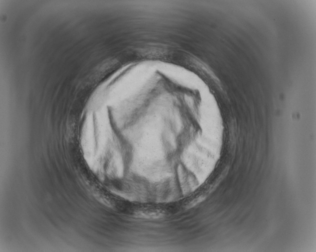 X0000085050073200704021330