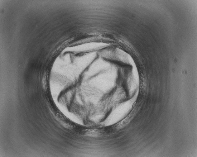 X0000085050074200704021330