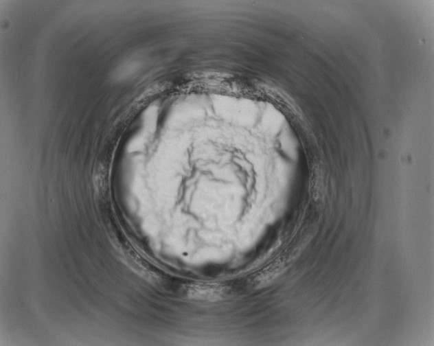 X0000085050077200704021330