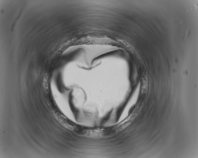 X0000085050078200704021330