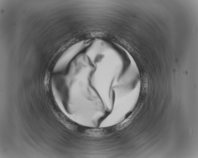 X0000085050082200704021330