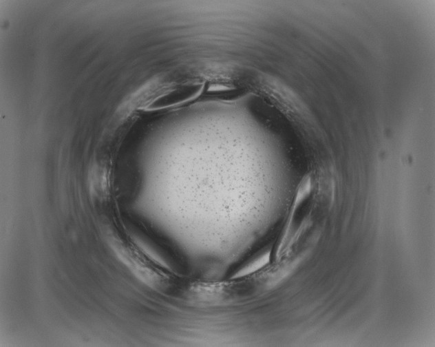 X0000085050084200704021330