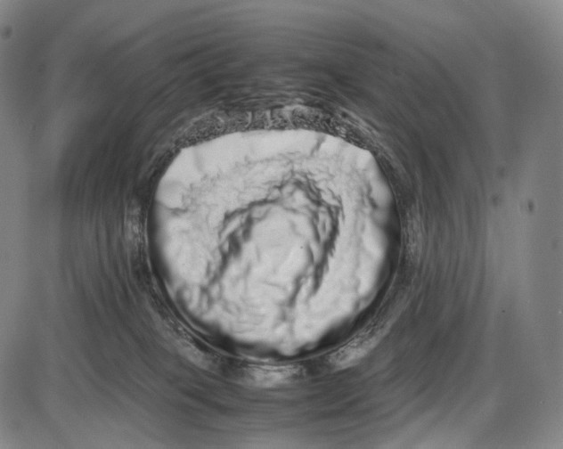X0000085050085200704021330